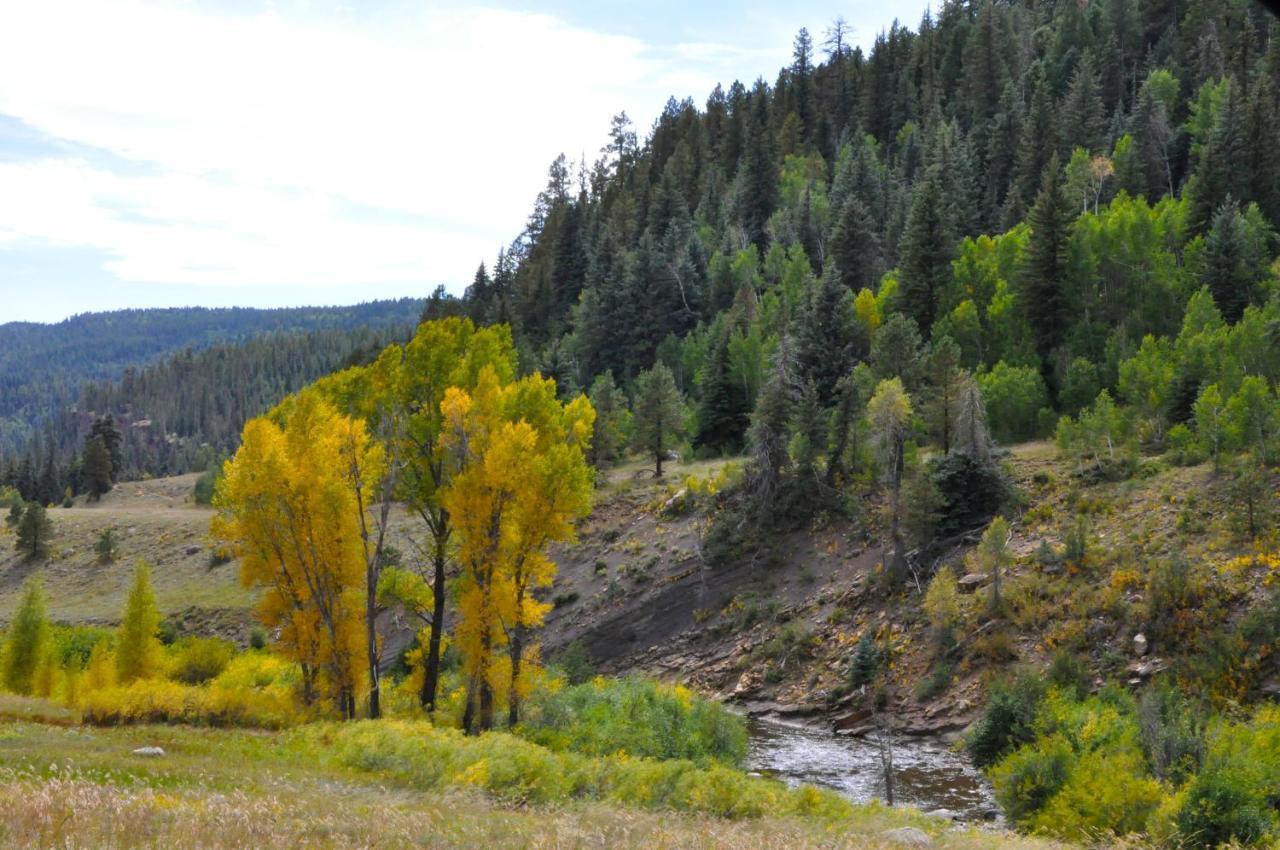 Alpine Inn Pagosa Springs Εξωτερικό φωτογραφία